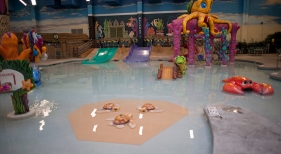 Waterpark Resort - Indoor Play Area