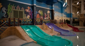 Waterpark Resort - Indoor Slides